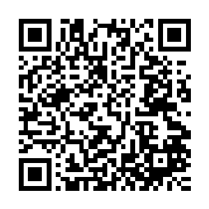 将筑基期第二层后期的巅峰修为和灵魂之力一起注入到结界当中二维码生成