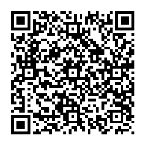 小说中那些得到什么灵丹妙药奇异秘籍从什么都不会一跃成为一代高手的终究还是故事二维码生成