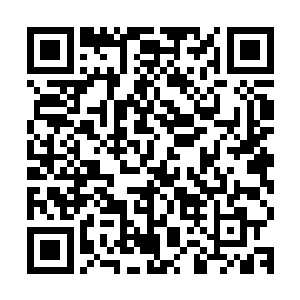 尤其是您在市委政法工作会议上也提到了要为经济发展保驾护航二维码生成