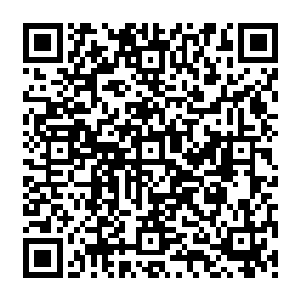 就在他握住信仰精华的那一刻　杂毛鸟那颤抖的声音忽然传來　然而　风清扬岂是傻子二维码生成