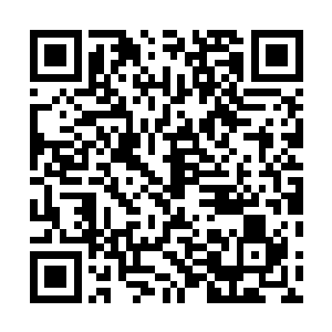 就在这些追击者们几乎都已经没把周御龙和禽皇放在眼里二维码生成