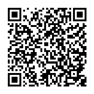 就算是拼命的话恐怕也只能给对方带来一点点的伤害根本不能有什么生命威胁二维码生成