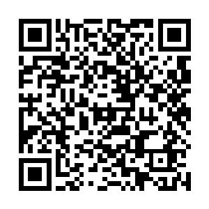 尽管这些天他们已经想尽办法去打探熊孩子父母的消息二维码生成