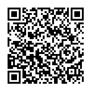 巨神族一直以来也是不断的在领地中寻找各种符灵草用于族人的生病和疗伤用二维码生成