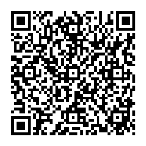 师弟为什么你要这样做我们不是说好了要一起修炼成神的吗你现在加我一个人丢在这里二维码生成