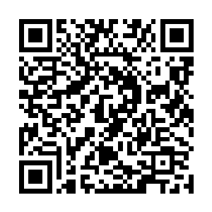 帝临会有点儿像是金心月故意抛出来吸引修仙者的诱饵二维码生成