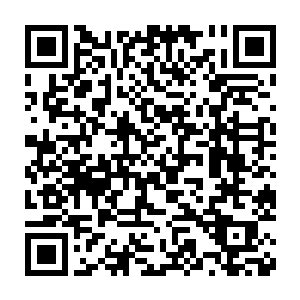 开放式的外伤……血腥味……吸引附近怪物……体内的血液异变……二维码生成