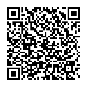 张山竟然可以在短短的时间内明白如何携带其他物体移动……并中止二维码生成