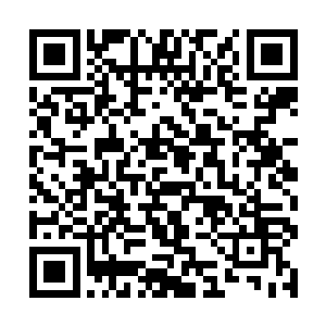 当初王招娣用再难听的话赶我回学校我也不会回去的二维码生成