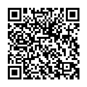 当然让沈君怀更为期盼的是在担任市长助理和市公安局党委书记二维码生成