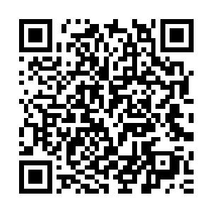 徐国忠却发现徐母此时正盯着地上的一堆资料表格瞪大了眼睛二维码生成