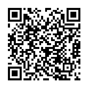 怎么这一代的继任者居然会选择你这小贱人来担当二维码生成