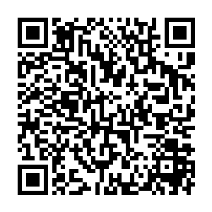 您不是让我们每天轮班监控这一面的太空区域顺便采集陨石样本吗二维码生成