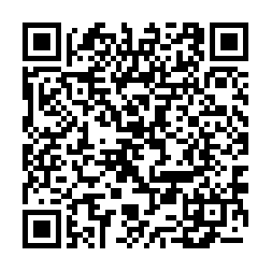 您真的认为这一类诉讼案件会给政府形象和威信带来很大的wēihài二维码生成