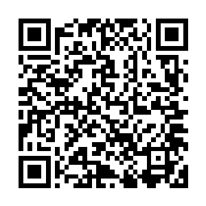 惊魂未定满身伤痕的幸存者们已经没有勇气爬上这个陡峭山坡二维码生成