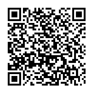 想來他在这段时间内也不会找到什么强者级金仙出來与他们再一次二维码生成