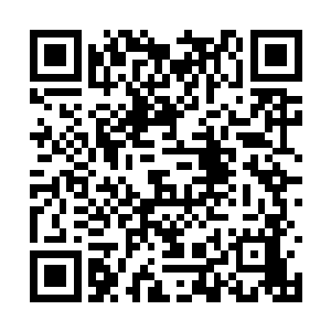 感谢你们能够让我在这次临时会议上有发言的权利二维码生成