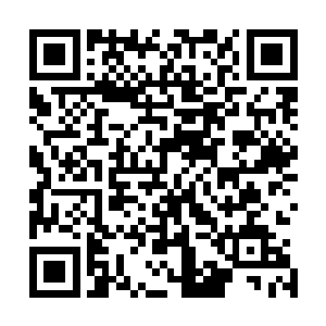 我不知道我和雅文把真相告诉小秋之后小秋会什么什么反应二维码生成