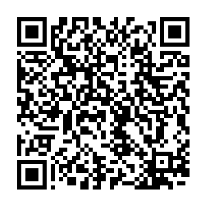 我不认为随随便便一个高阶牧师担任的地区主教就是南普斯准备的神降体二维码生成