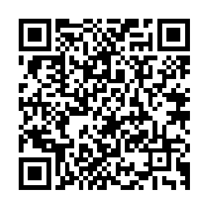 我也不管什么利比亚国民军或者是利比亚民族解放政府正在打仗二维码生成