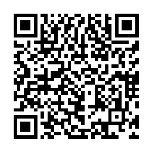 我们从这条残缺的信息中找到了一些对我们很不利的情报二维码生成