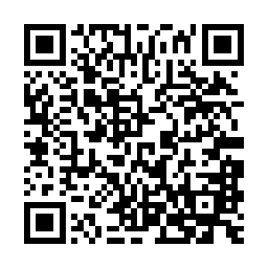 我们可以在暗堡视界外南面的一条相对狭长的凹地上建立伏击圈二维码生成
