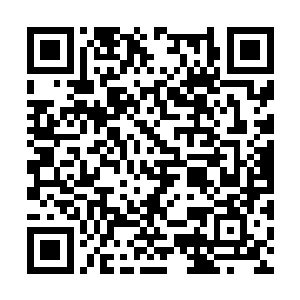 我们可以在这里生成城堡或宫殿的完整的主体结构二维码生成