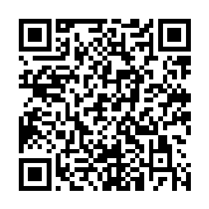 我们可怜的小胖也和卑鄙的欢喜哥签下了自己的一份卖身契二维码生成