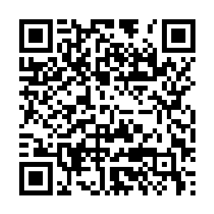 我们正在商量关于林慧小姐第一次演唱会的一些细节问题二维码生成