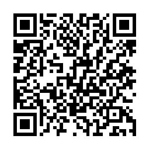 我会将金晶塔的运作方法甚至升级改造的方法统统传授给你二维码生成