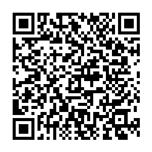 我可以不回去么……姗姗姐说我可以问你的……即便我双手占满鲜血二维码生成