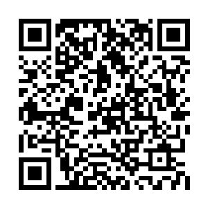 我和那个信用社的信用社的副主任正好坐在一起二维码生成