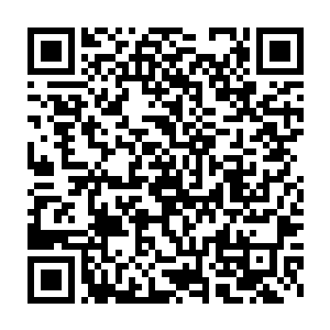 我在电视回放画面中看到第一架飞机撞向世贸中心时完全不敢相信二维码生成