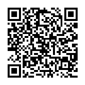 我宗其余的灵体和血脉之力的天才几乎比其他四宗要少了一半二维码生成