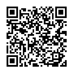 我担心他随时都会撕开伪装露出散发出腥臭味道的獠牙二维码生成