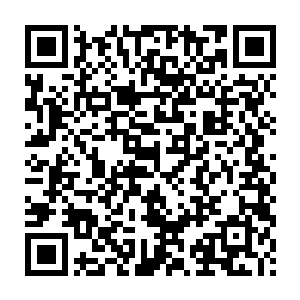 我是唯一一个在司农机构之中从流外3等的小吏做到从三品的官员二维码生成