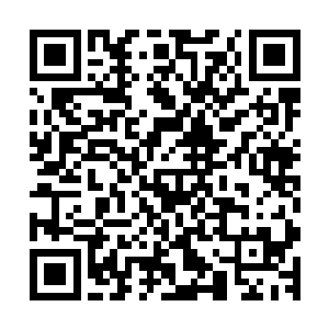 我用他们来模拟人类文明从起源到发展直到今天的一幕幕景象二维码生成