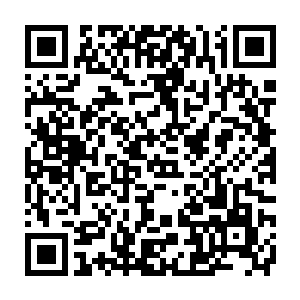 我的小腿是自己摔倒在台阶上磕伤的――和秦洛先生没有任何关系二维码生成