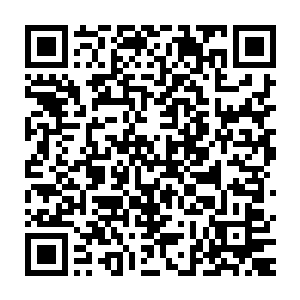 我要的就是你和你的公司马上就开始把这些数据变成你自己勘测出来的二维码生成