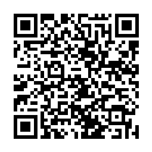 我觉得也应该把全市所有党政机关的办公大楼检查一遍二维码生成