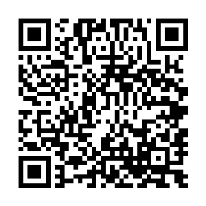 我认为张过海和张雷已经不适合再在公司内担任高管的职务二维码生成