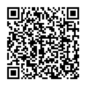 我还以为是的叛军……后来我看清楚是星际海盗……迪尔我真的好害怕二维码生成