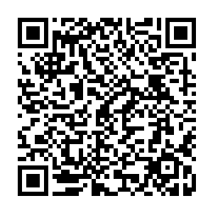 或许算是比较大众的想法了……几乎参加五派大比的那些五大宗门的弟子二维码生成