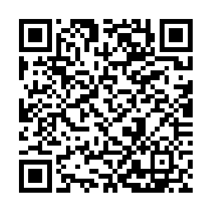 所以……现在小萌的上身已经是完全没有任何的遮盖二维码生成