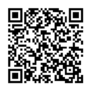 所以不老树散发出来的生机之力能够很好地解决这个问题二维码生成