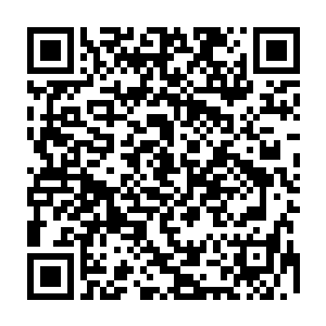 所以中医代表团的其它成员结束了他们为期一周的采访后要先一步返回华夏二维码生成