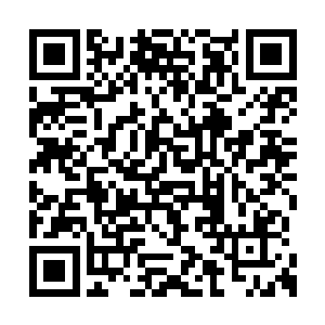 所以他们都觉得自己绝对会得到学宫最好的待遇二维码生成