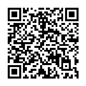 所以他非常有信心将魏老师特意选给他的这套拳法演得满堂彩二维码生成