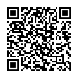 所以像林虎这种地方上的江湖大佬也只有一两支手枪二维码生成