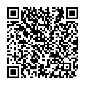 所以哪怕和神灵之棺在江山社稷图内共处了一段时间也是离着远远的二维码生成